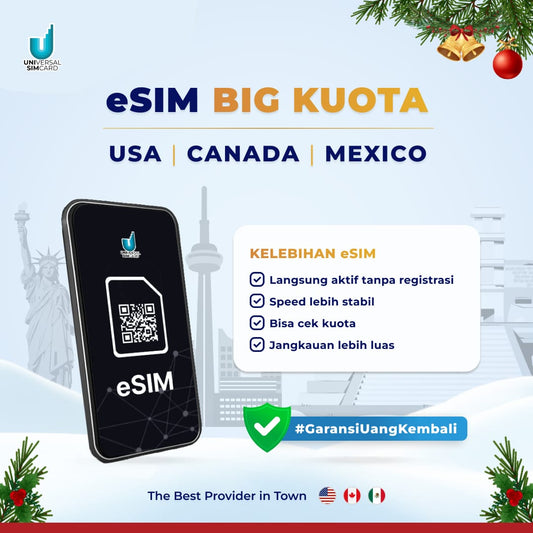 Unisim eSIM USA, Canada, Mexico Big Data