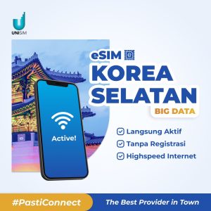Unisim eSIM Korea Big Data